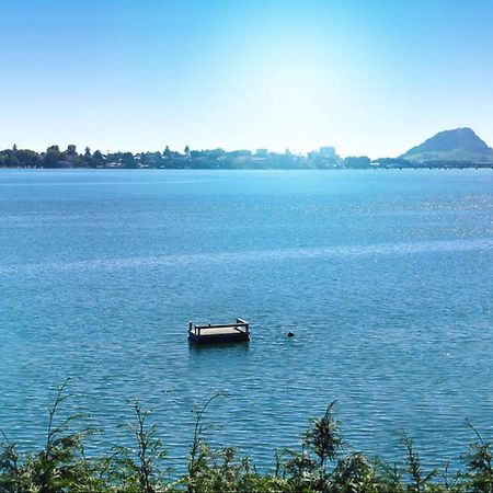Apartment Near The Water Tauranga Exterior foto